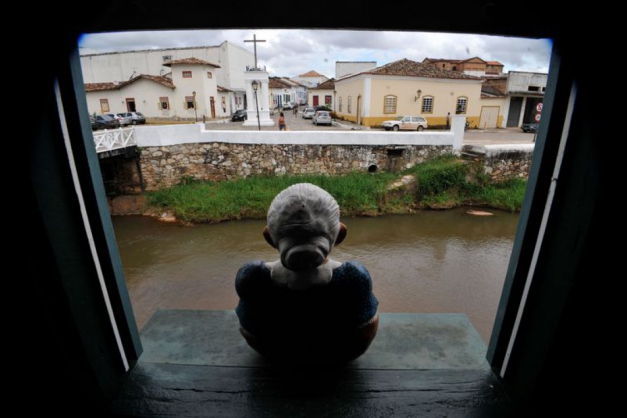 Macaque in the trees