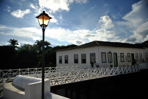 Macaque in the trees