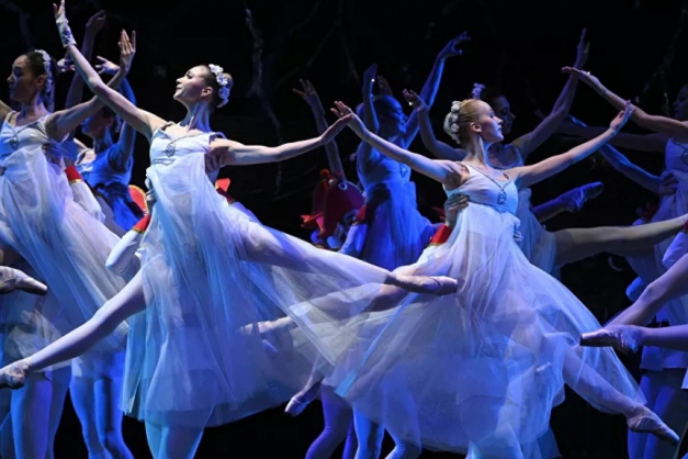 Macaque in the trees