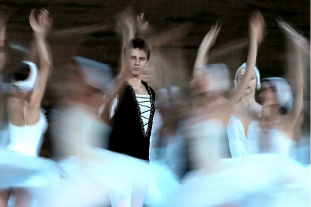 Macaque in the trees