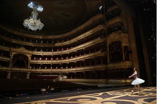 Macaque in the trees