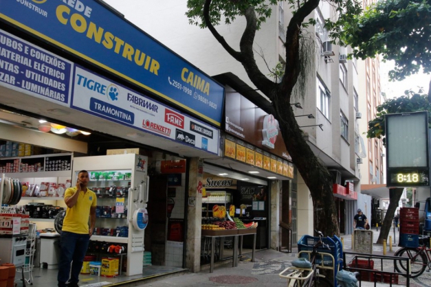 Macaque in the trees