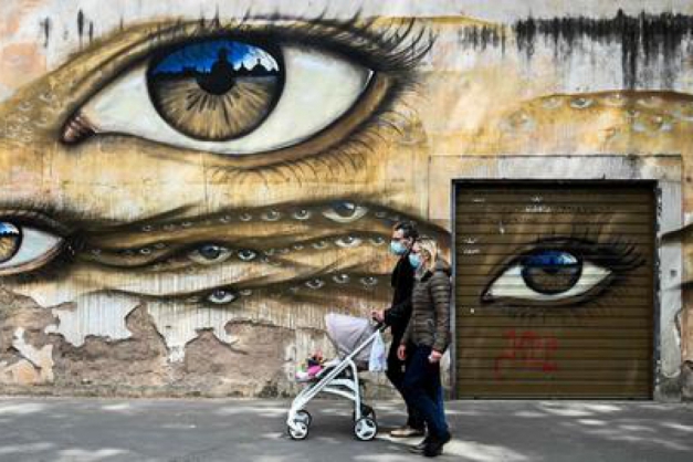 Macaque in the trees