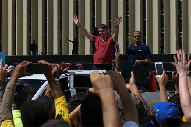 Macaque in the trees