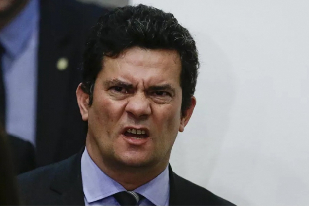 Macaque in the trees