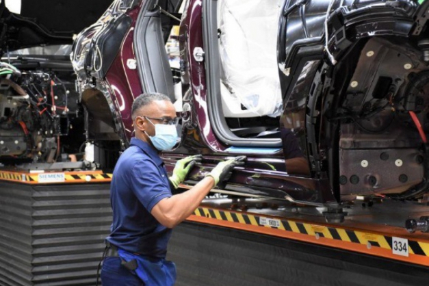 Macaque in the trees