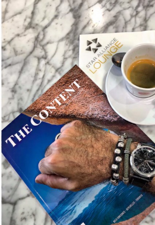 Macaque in the trees