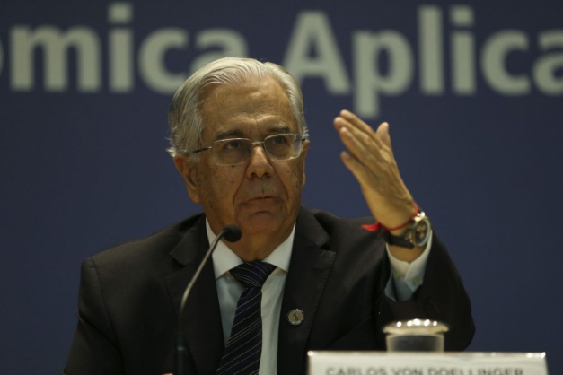 Macaque in the trees