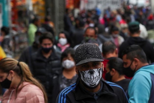 Macaque in the trees