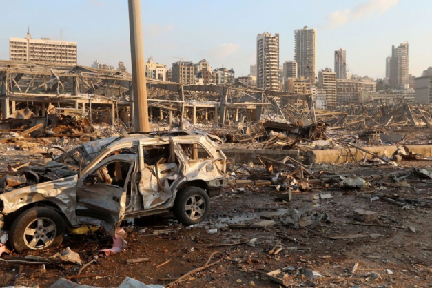 Macaque in the trees