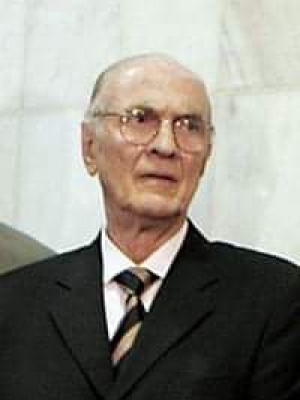 Macaque in the trees