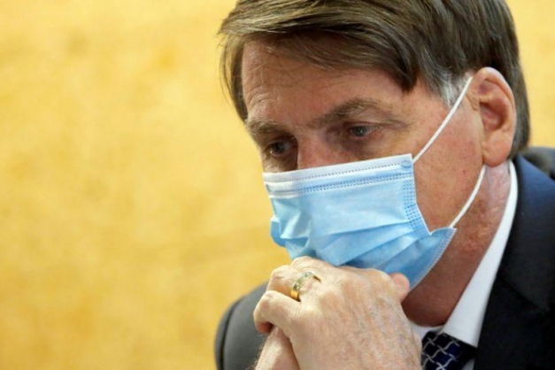 Macaque in the trees