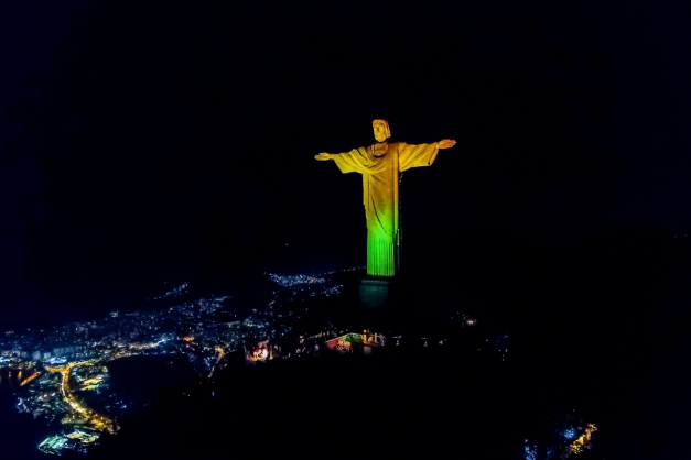 Macaque in the trees