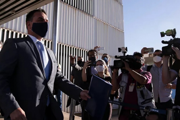 Macaque in the trees