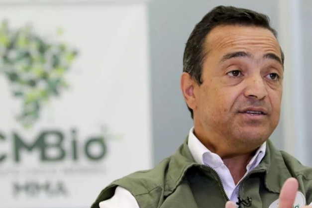 Macaque in the trees