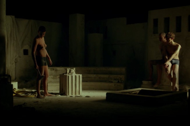 Macaque in the trees