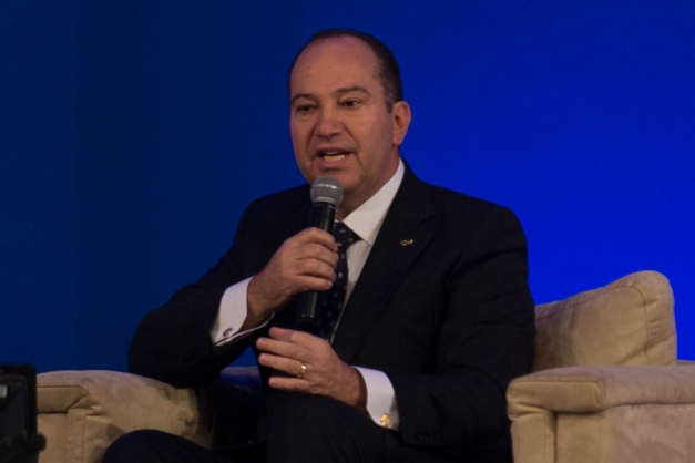 Macaque in the trees