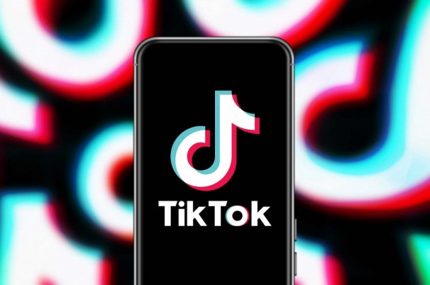 leao papel de parede 4k｜TikTok Search