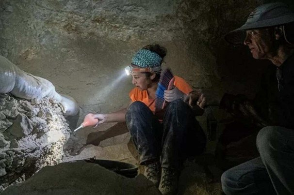 Arqueólogos trabalhando em escavações dentro de cavernas em Israel Macaque in the trees