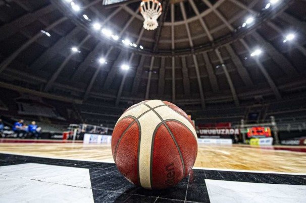 Macaque in the trees