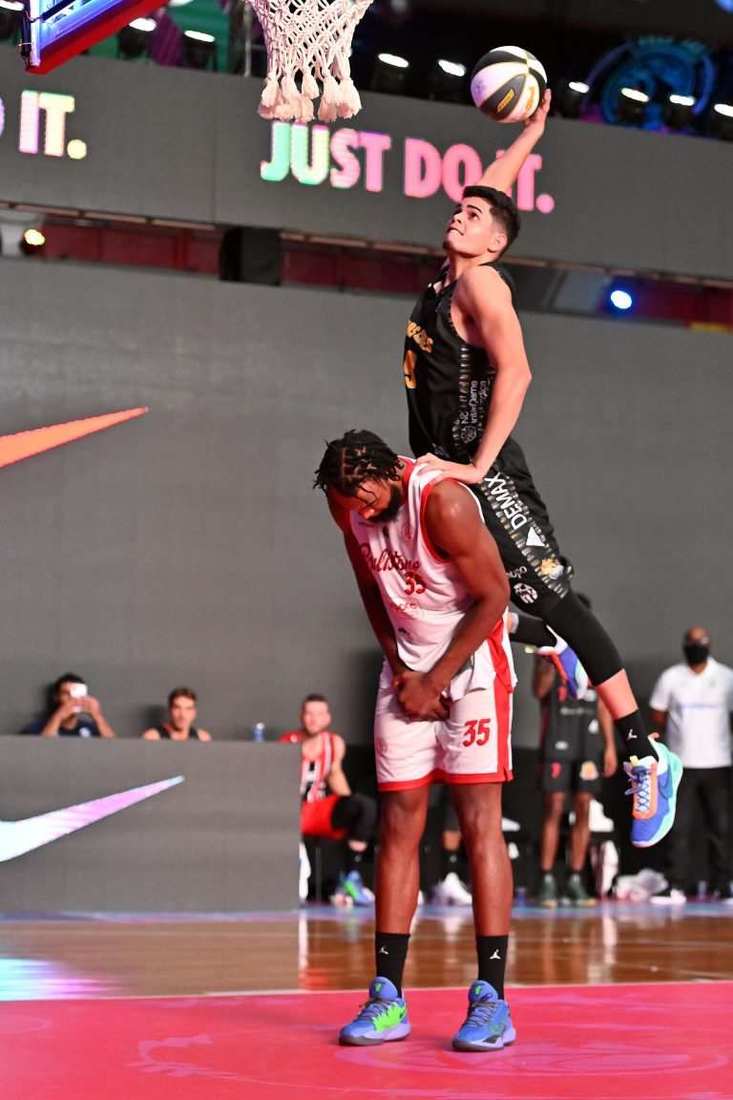 Macaque in the trees