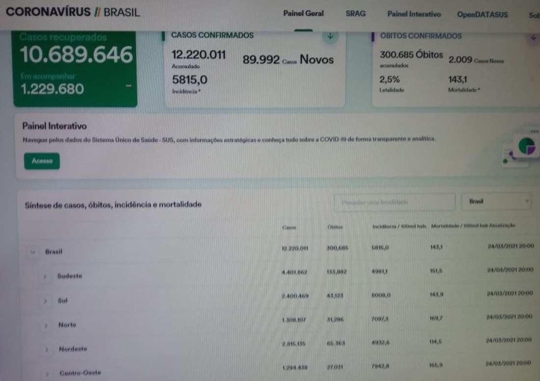 Macaque in the trees