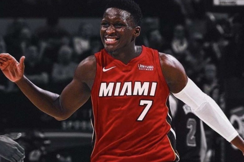 Macaque in the trees