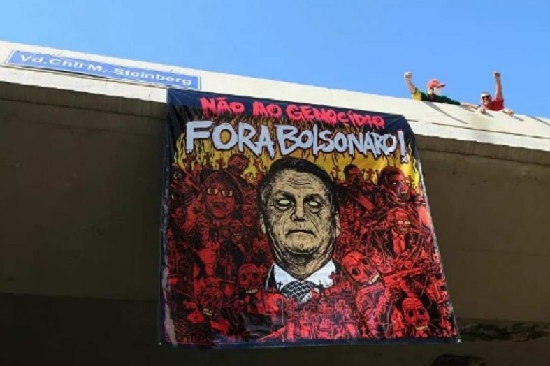 Macaque in the trees