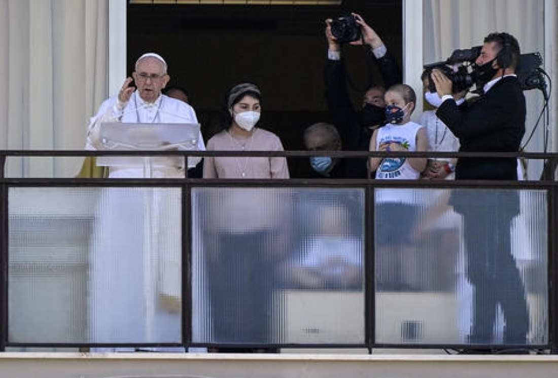 Macaque in the trees