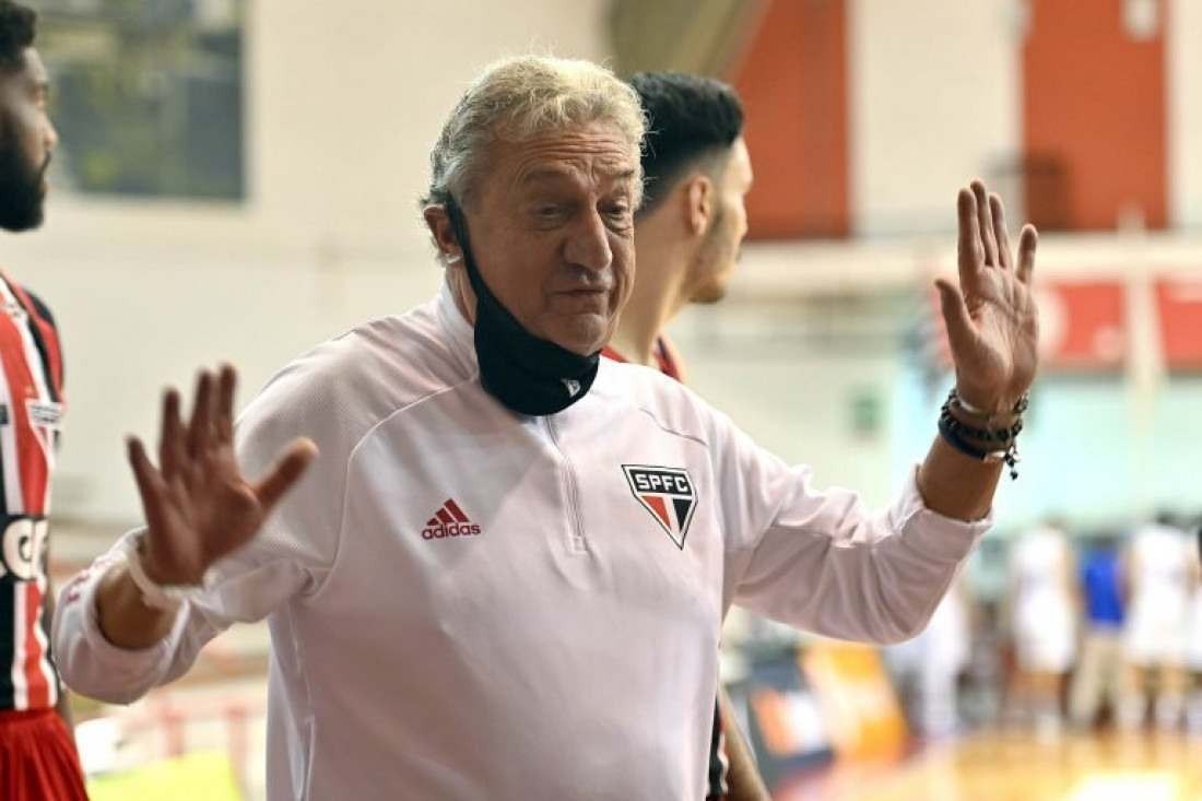 Macaque in the trees