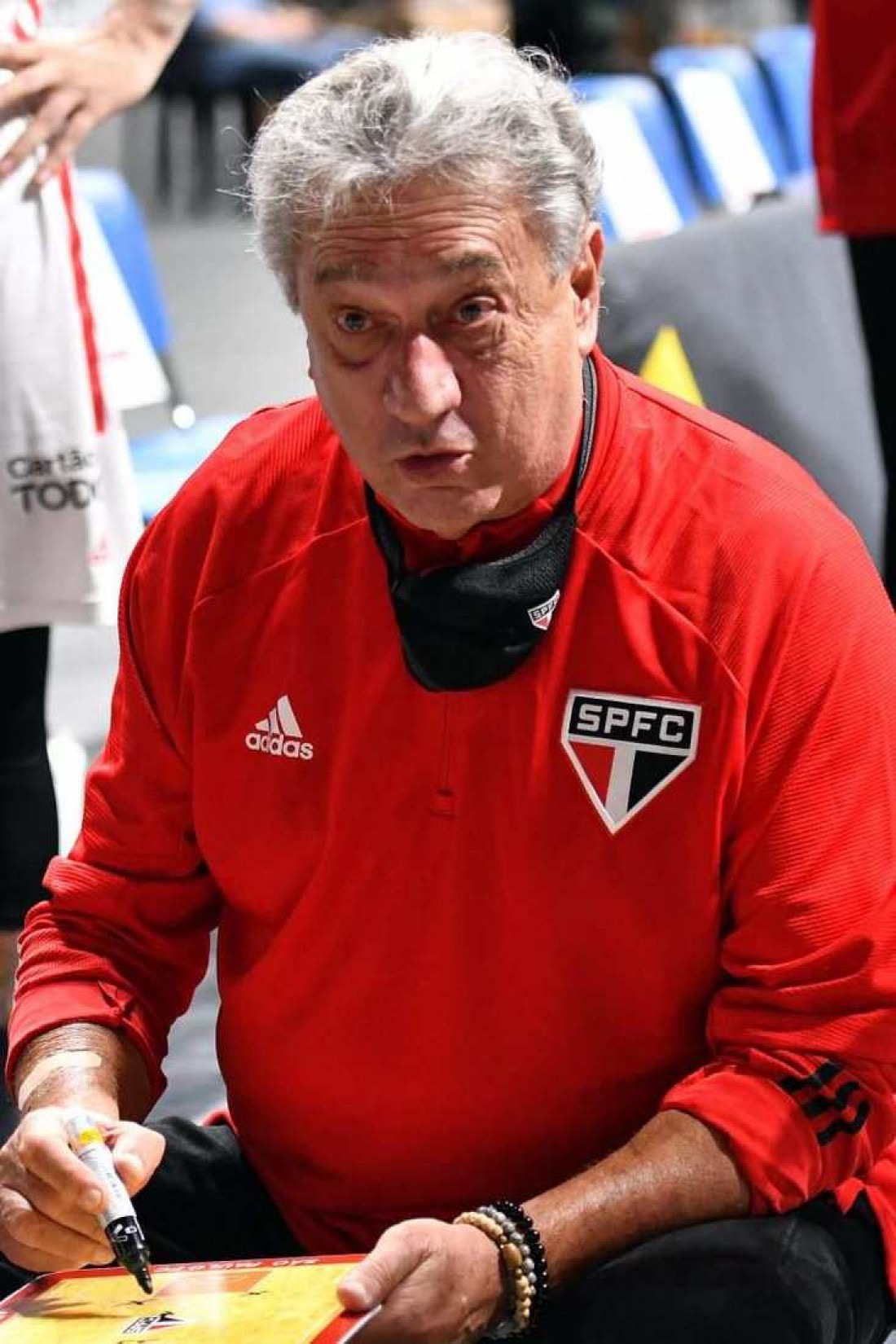 Macaque in the trees