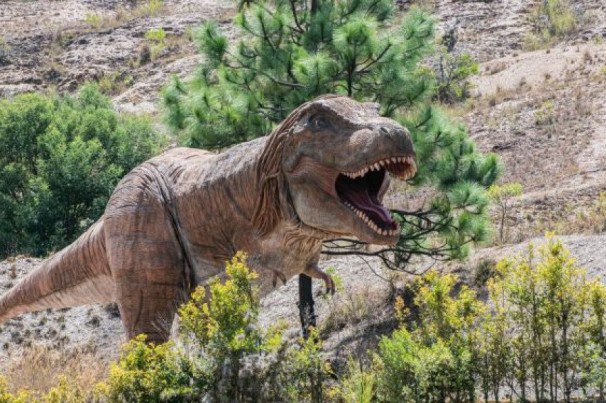 Dinossauro gigante com 'dentes de tubarão' é descoberto no Uzbequistão