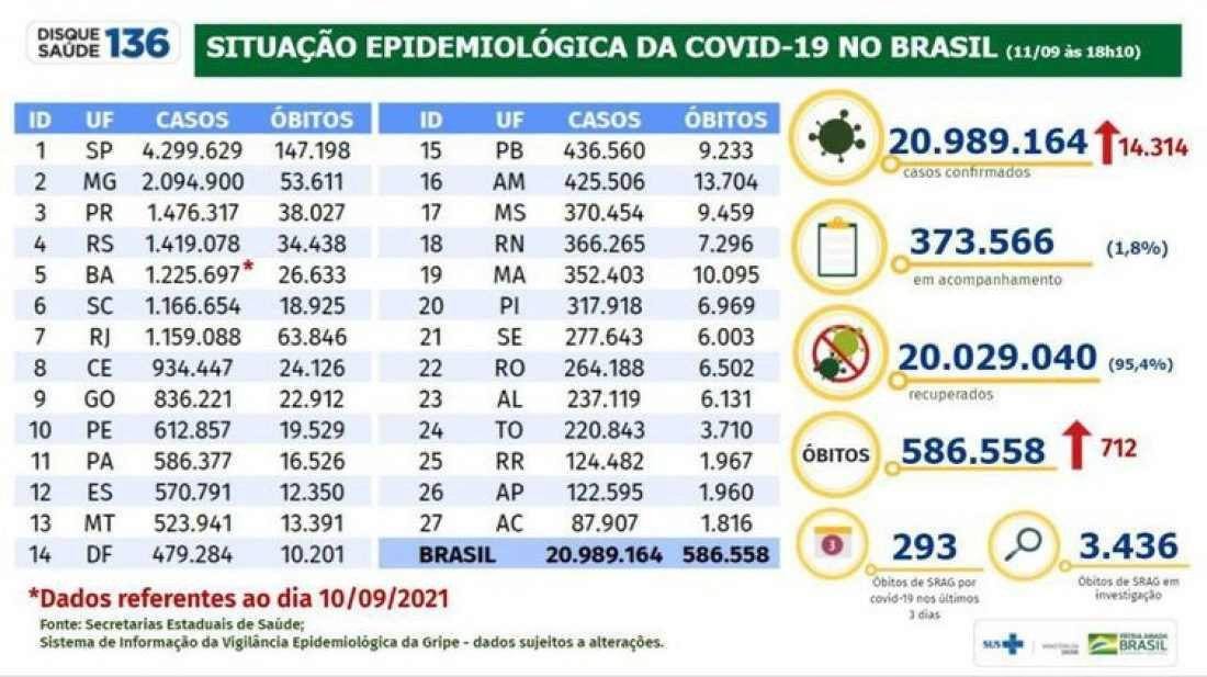 Macaque in the trees