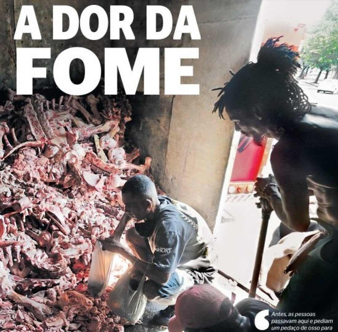 Macaque in the trees