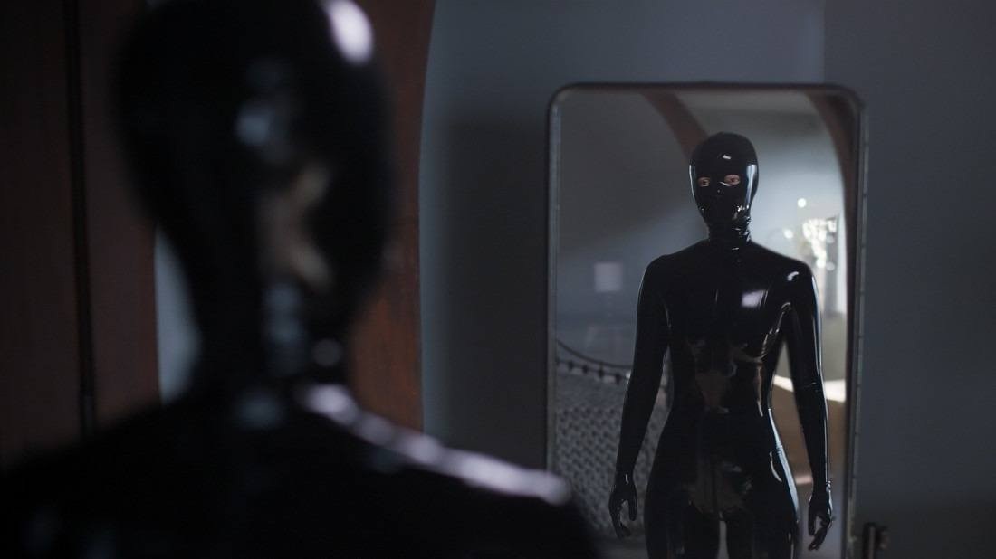 Macaque in the trees