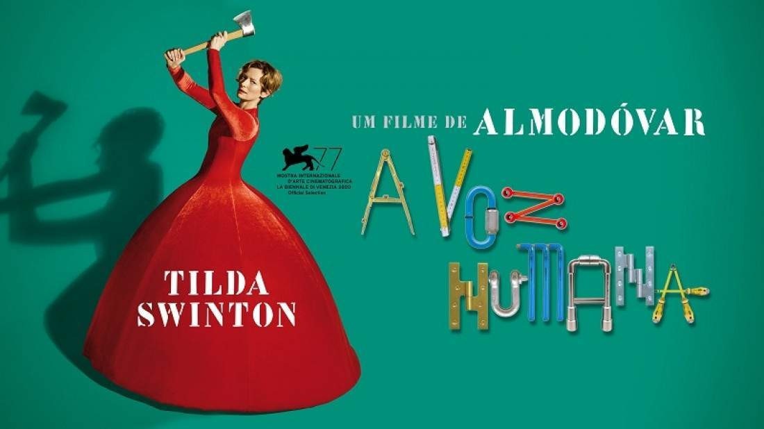 Macaque in the trees