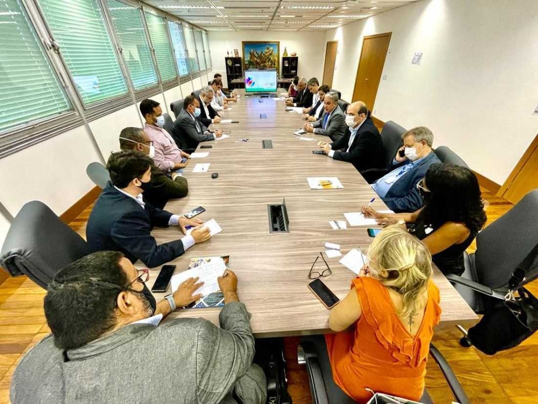 Macaque in the trees