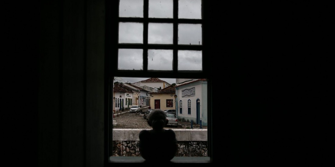 Macaque in the trees
