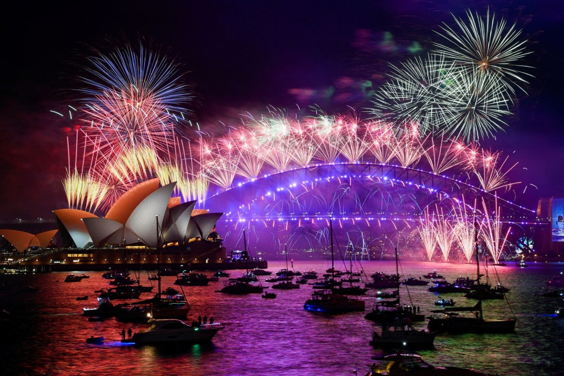 Fogos de artifício explodem no porto de Sydney durante as celebrações do Ano Novo em Sydney, Austrália Macaque in the trees