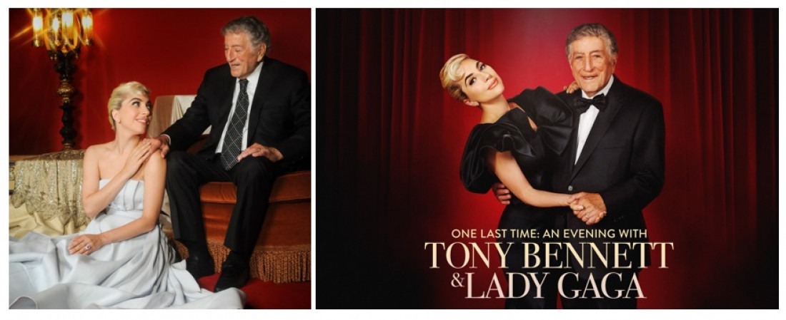 Macaque in the trees