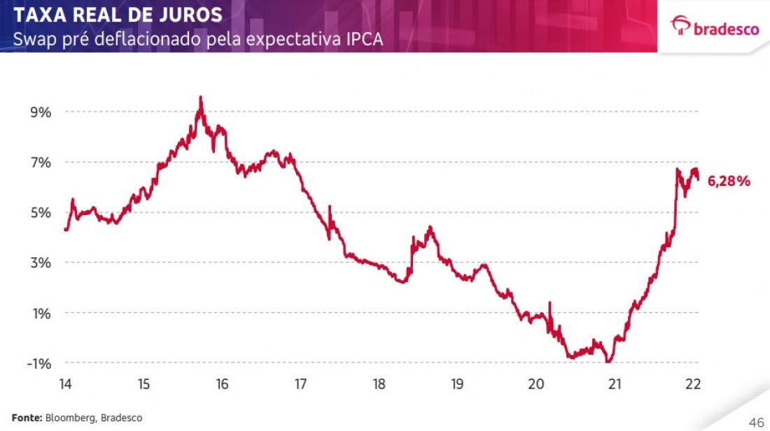 Macaque in the trees