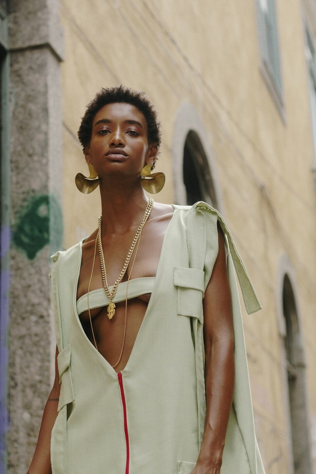 Macaque in the trees