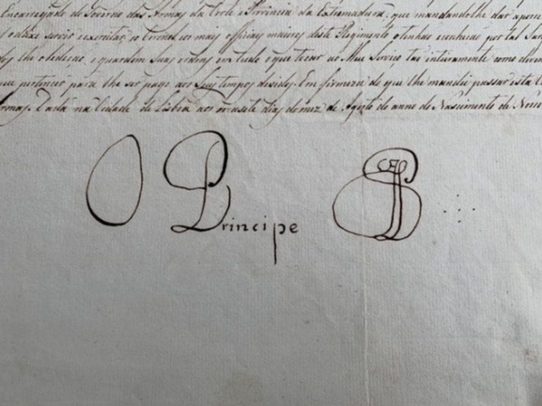 Macaque in the trees