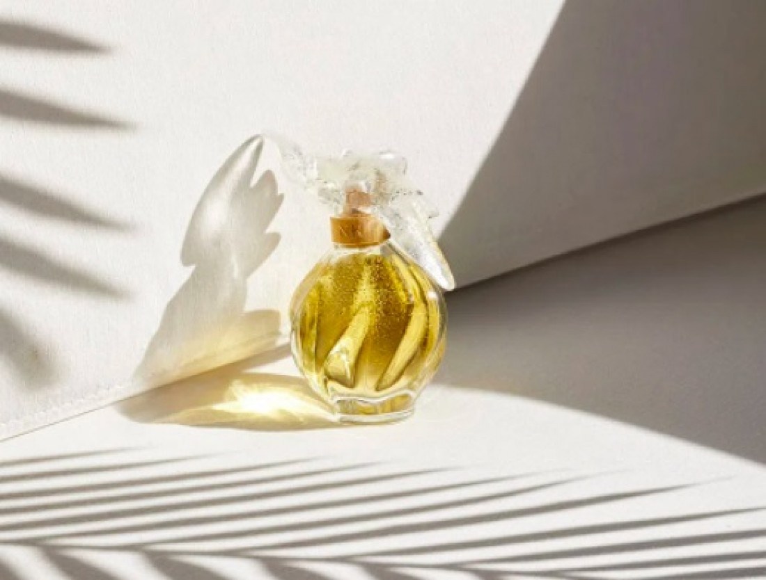 Macaque in the trees