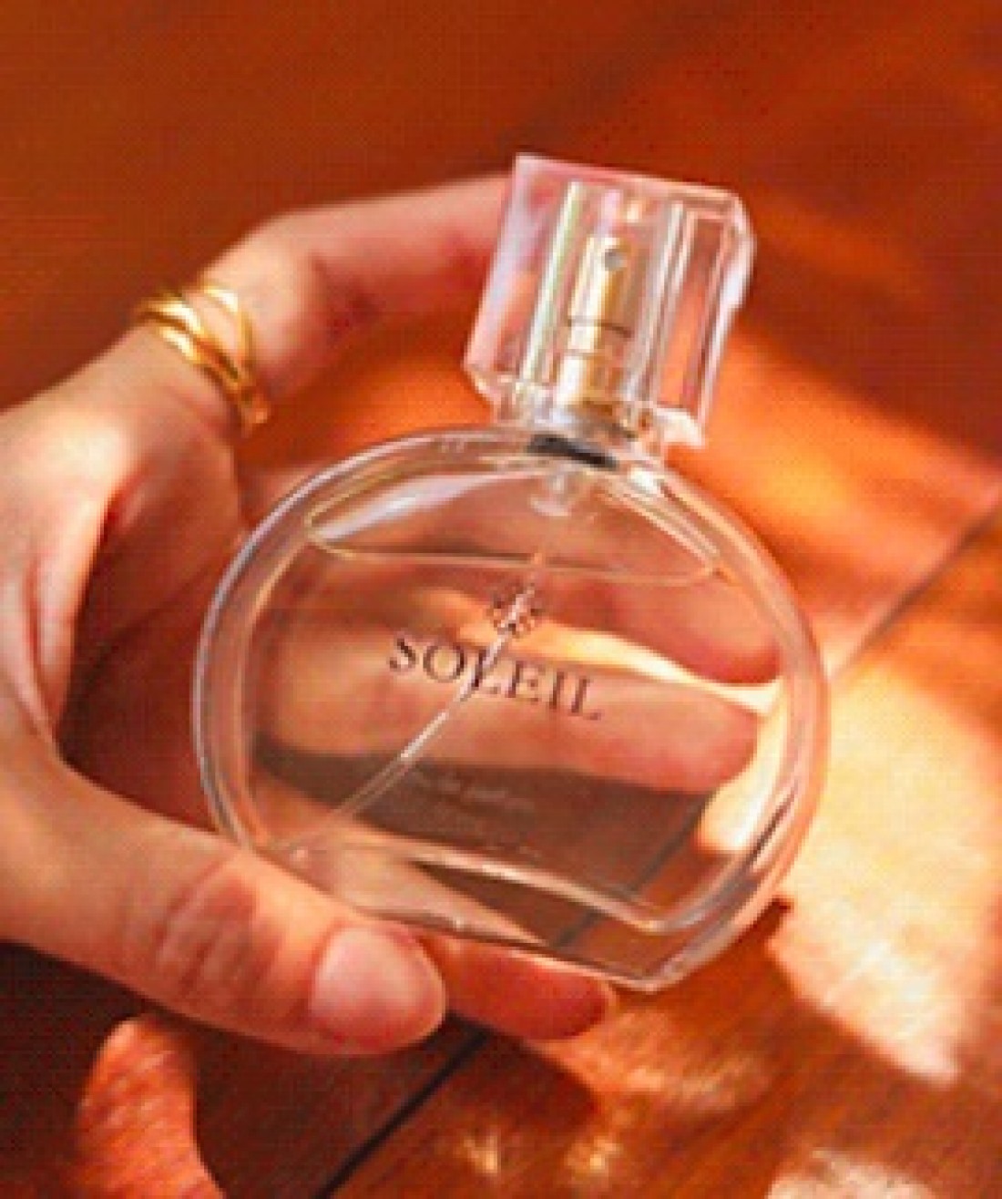 Macaque in the trees