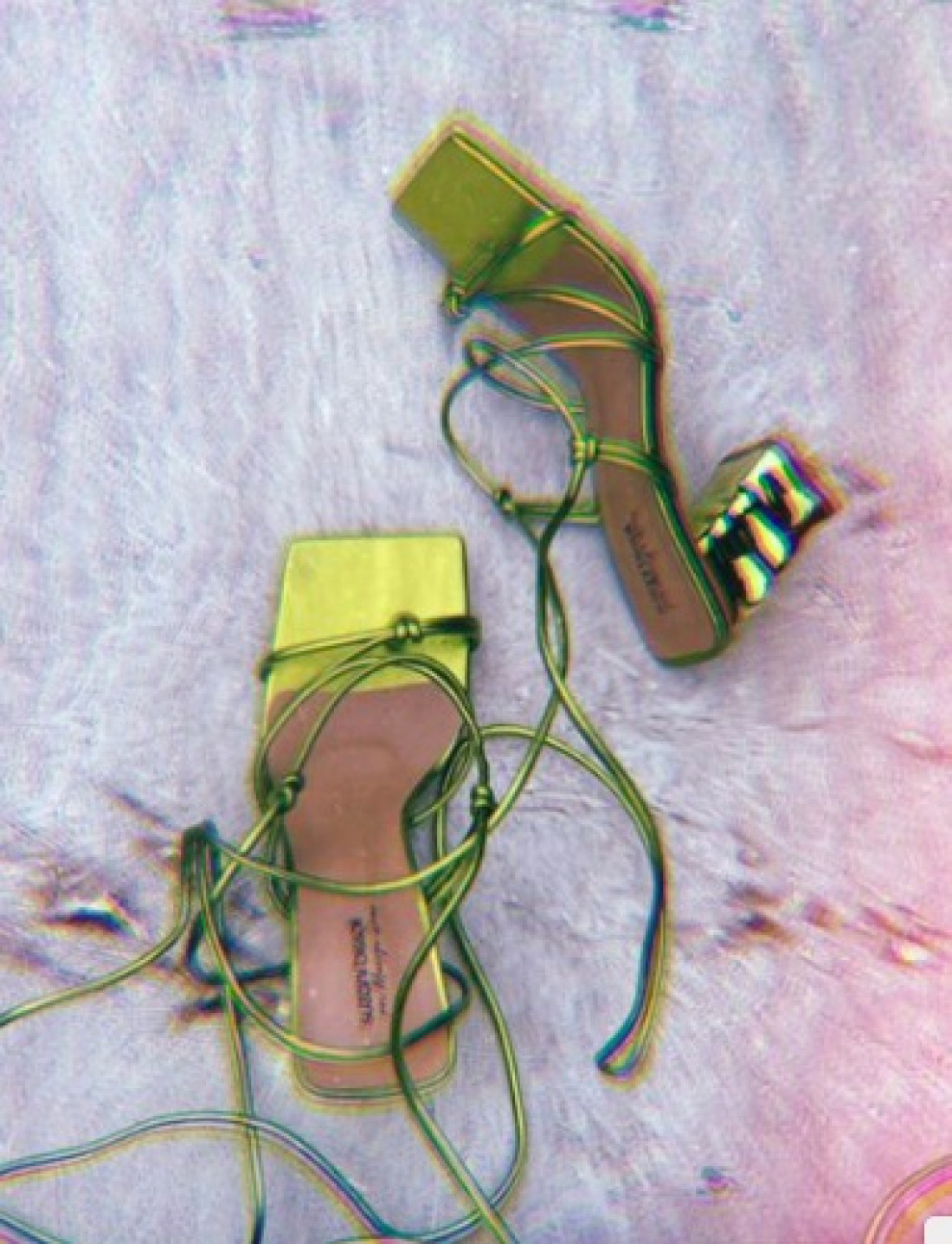 Macaque in the trees