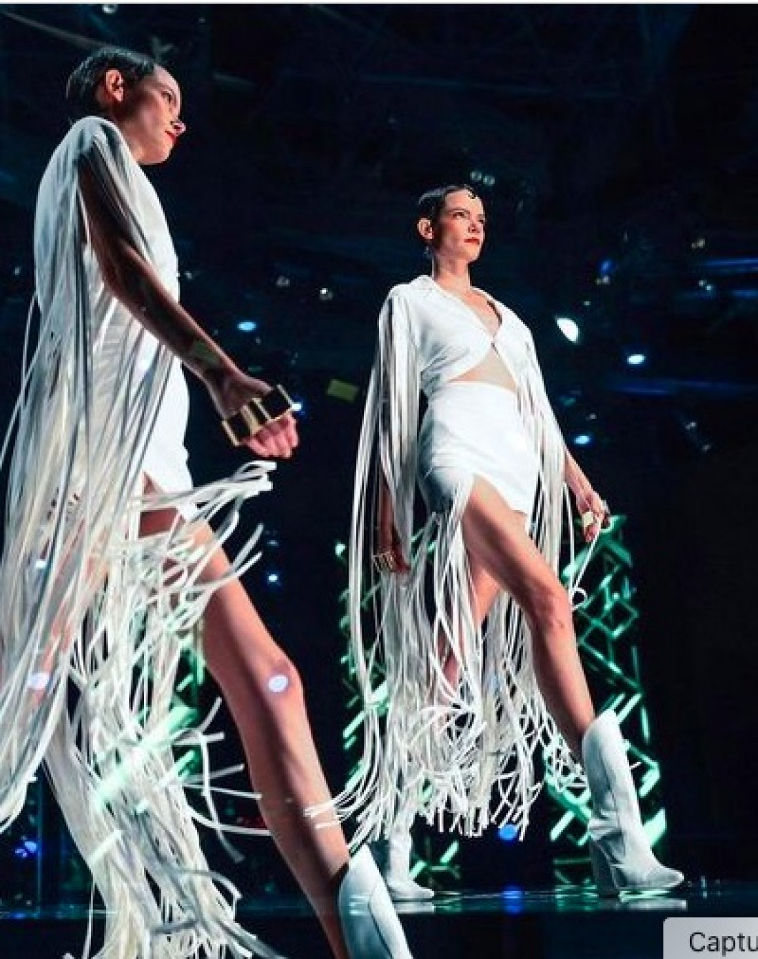 Macaque in the trees