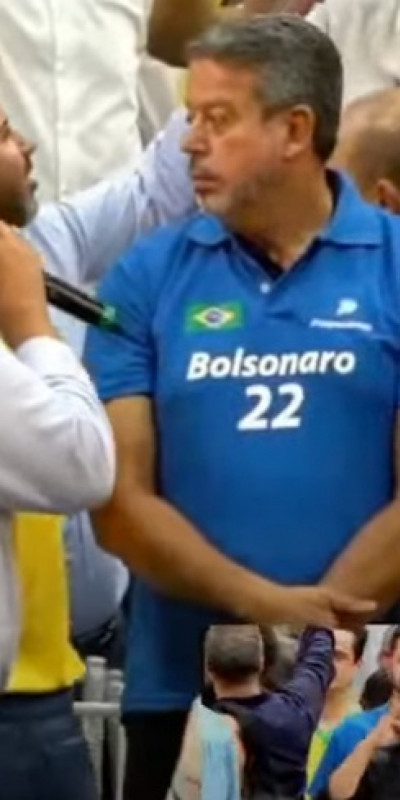 Macaque in the trees