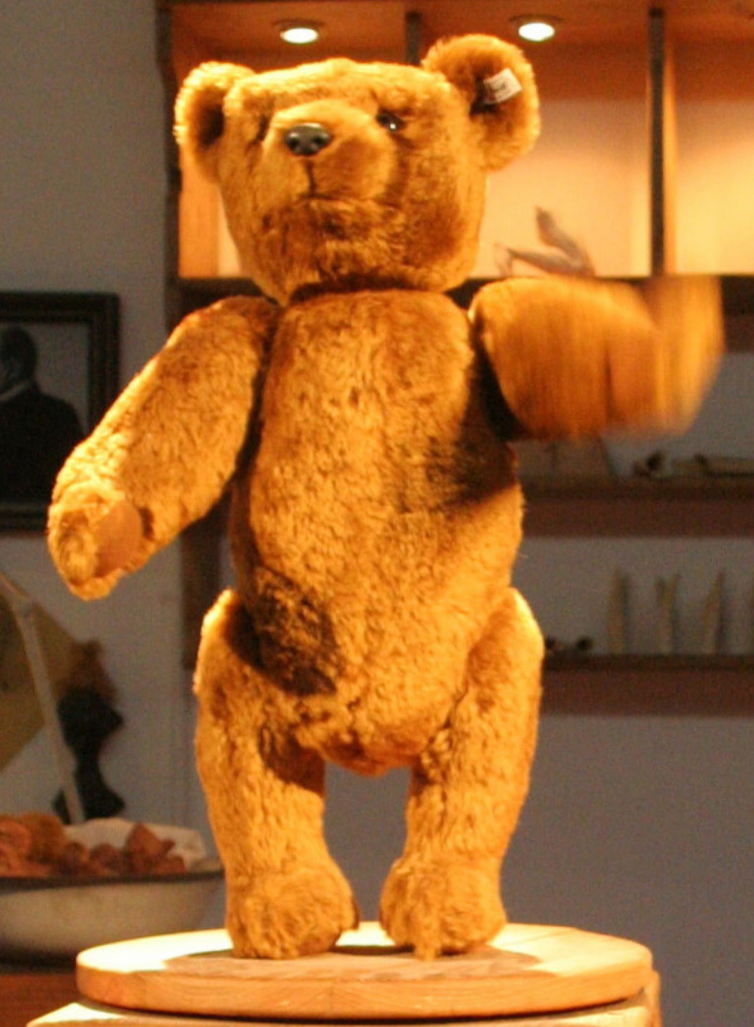 Macaque in the trees