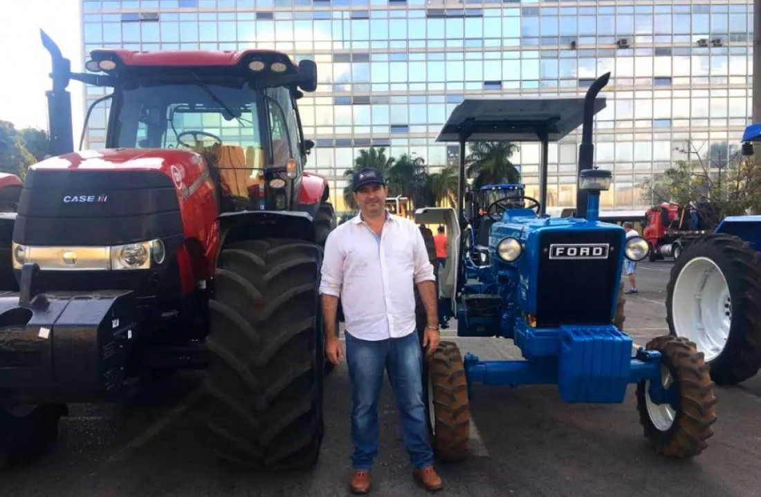 Macaque in the trees